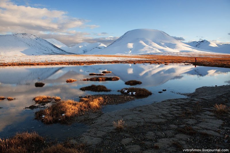киргизия, тянь-шань, терскей ала-тоо, барскоон На Тянь-Шанских сыртах.photo preview