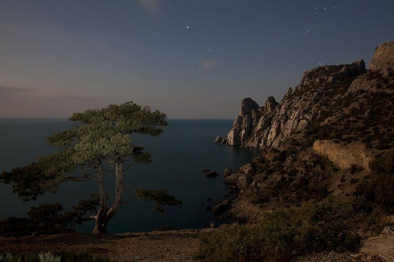 крым, море, мыс, вода, камни, берег, волны, скалы, небо, облака, пейзаж, природа, украина, звезды, ночь, деревья, В лунном свете. фото превью