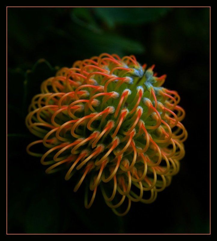 Пробуждениеphoto preview