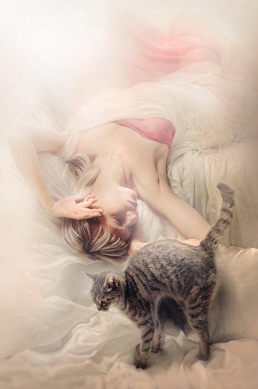 портрет, гламур, божественные, фотосессия, студия,нежность, iren, сон сонphoto preview