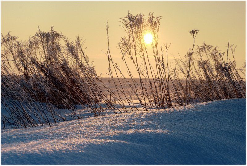 Я уже и забыл как выглядит эта земля без снега..photo preview