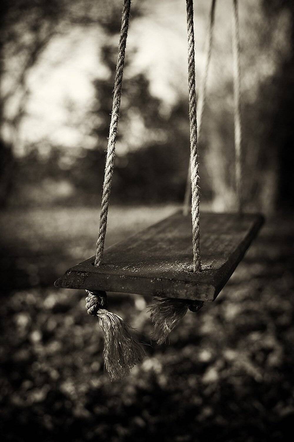 Детство.... Автор: Alex N , Alex N