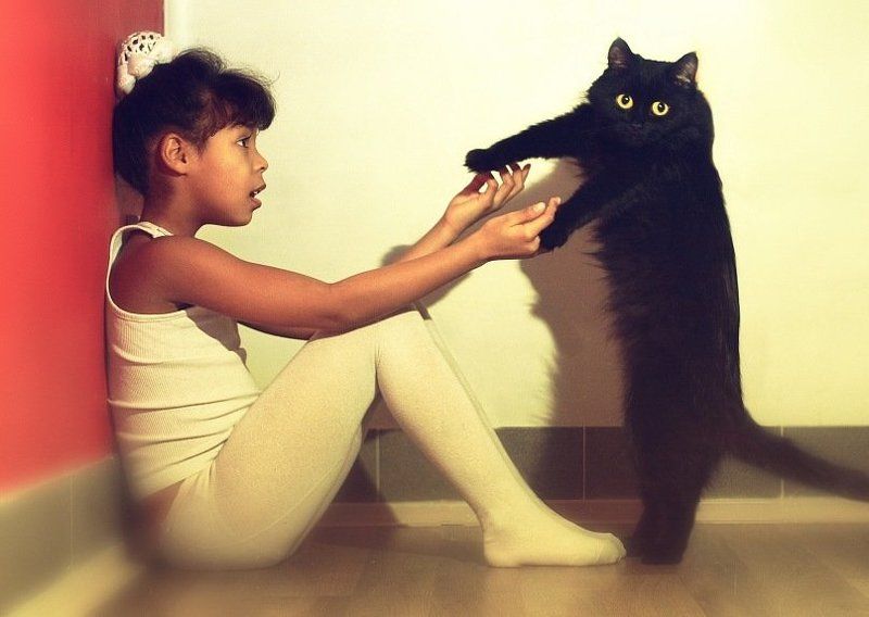 разныеphoto preview