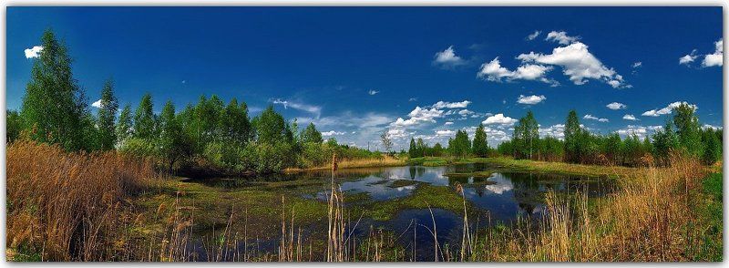 весна, природа, пейзаж, панорама Был месяц май... фото превью