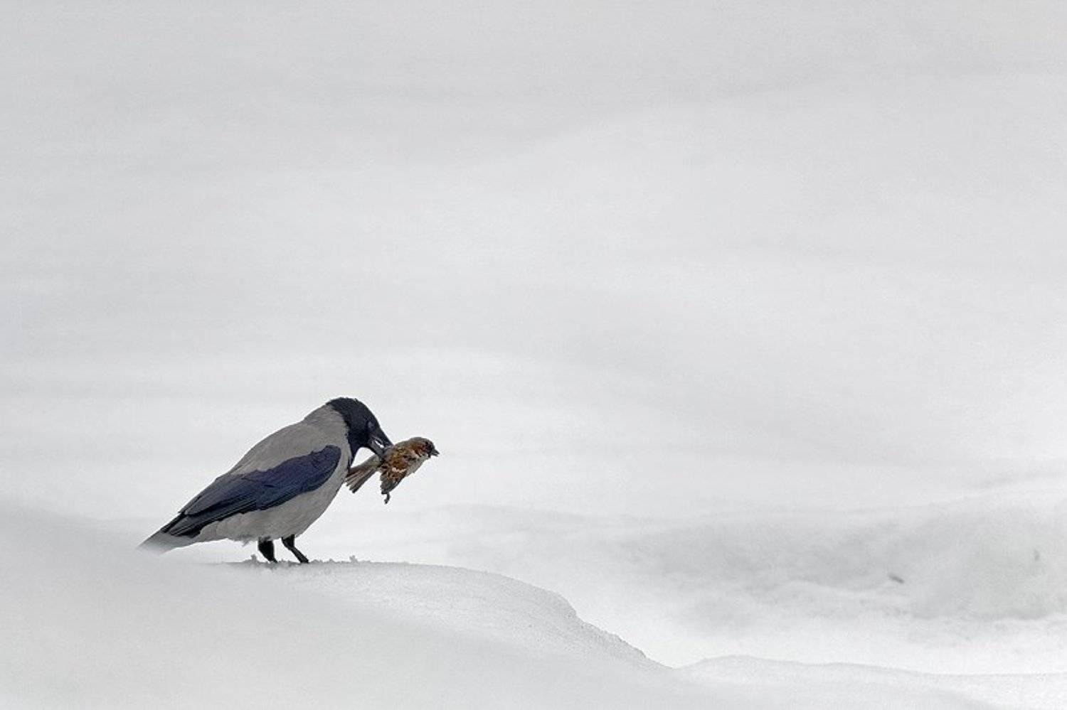 , Максим Юлдашев (maximyuldashev.ru)