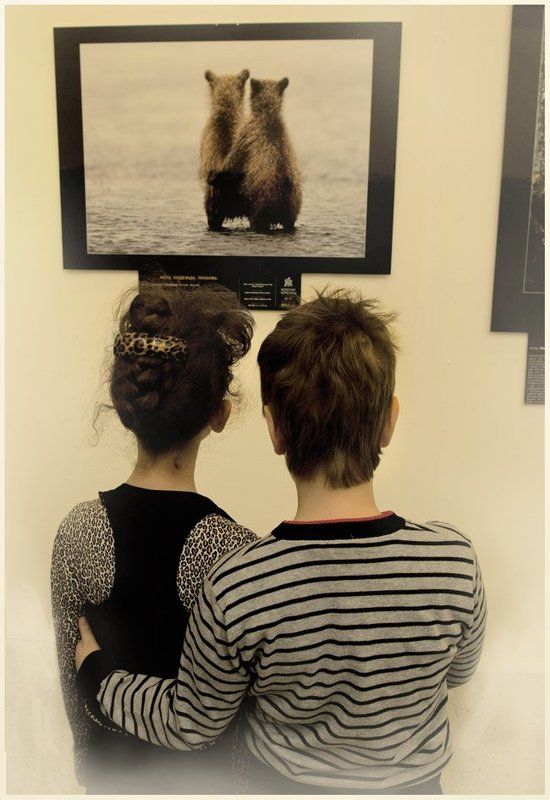 выствка, золотая черепаха, дети, николай зиновьев братья и сёстры...photo preview