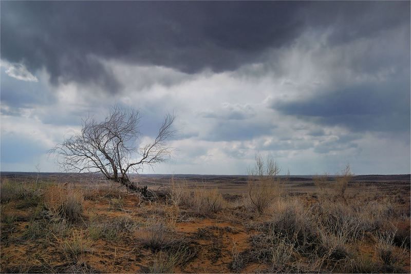 природа, , казахстан Перед   дождём...photo preview