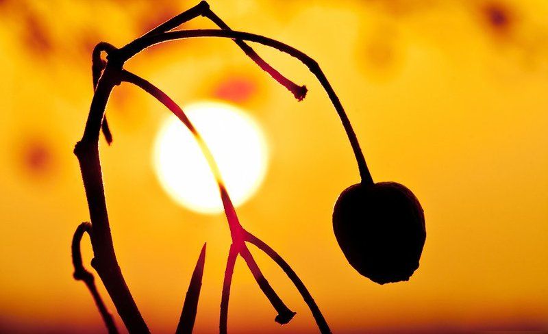 Закатphoto preview