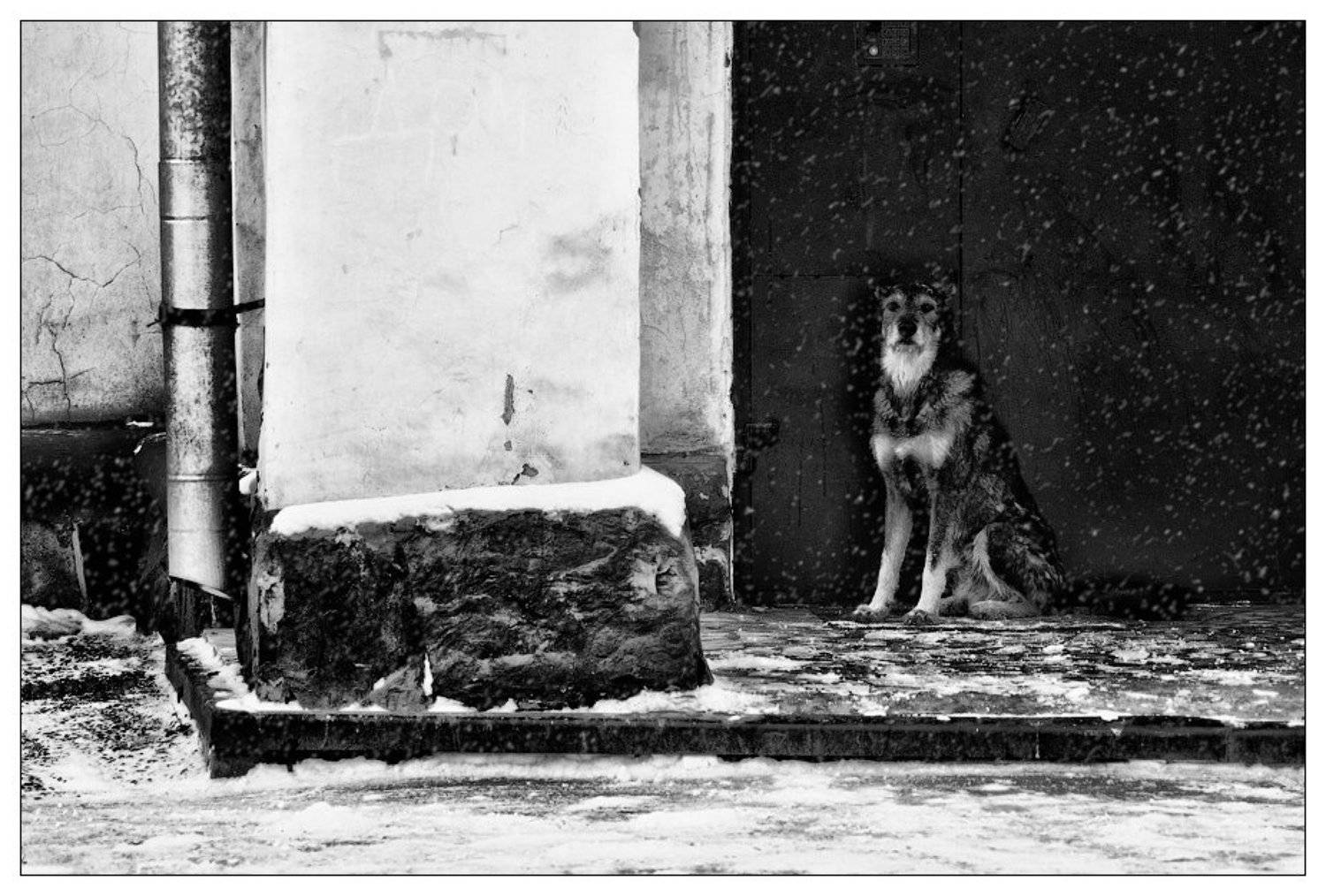 black and white, ч/б, жанр, черное и белое, Олег Клочков