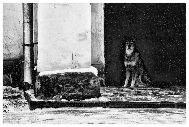 black and white, ч/б, жанр, черное и белое ДОМ ТАМ, ГДЕ ЖДУТ...photo preview