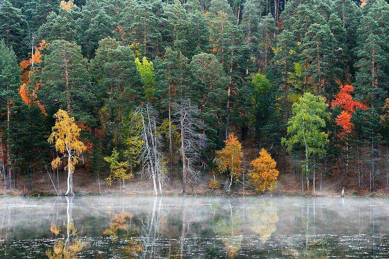 осень,башкирия,цвет,лес, Качурин Алексей