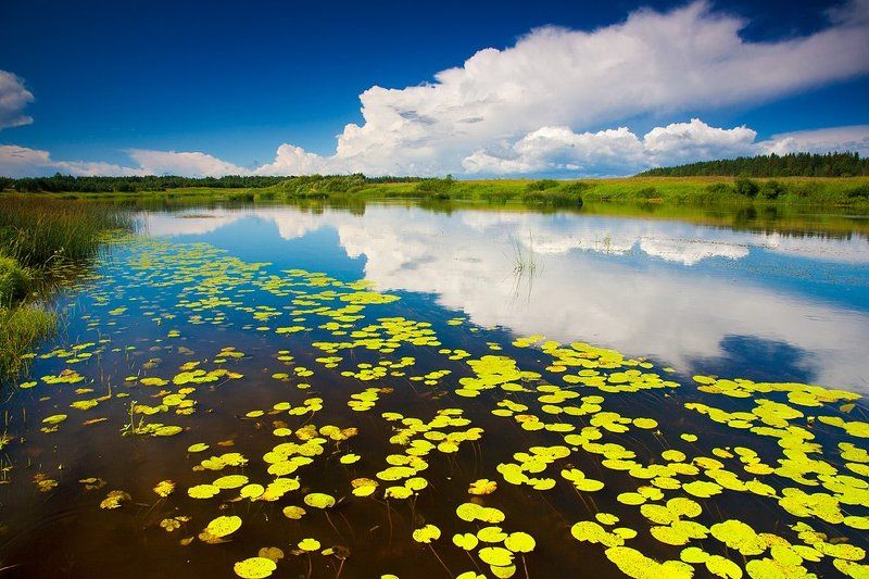 Мологаphoto preview