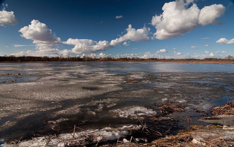 весна Весенний мотив фото превью