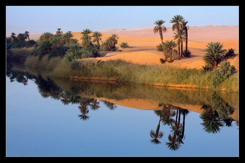 сахара, ливия, песок, оазис, дюны Оазис...photo preview