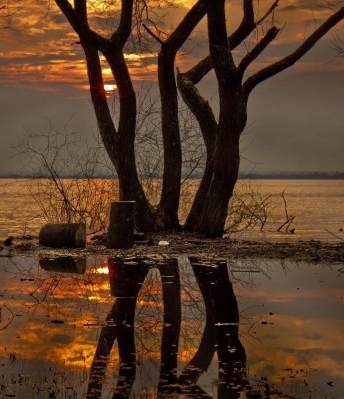 хореография...photo preview