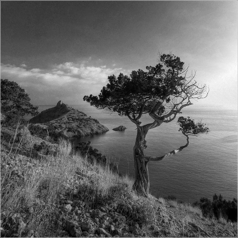 крым, новый свет, мыс капчик ***photo preview