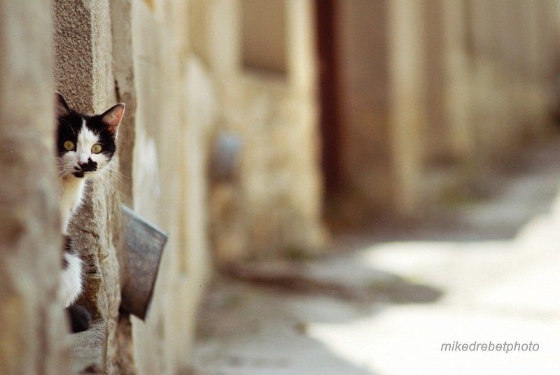 murka, kam-pod murka фото превью