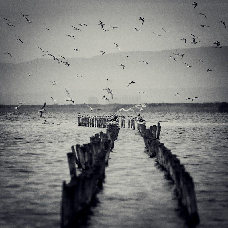 море Помориеphoto preview