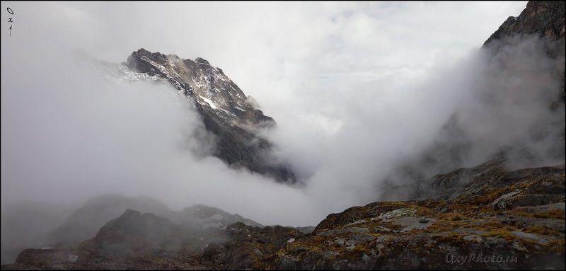 africa, rwenzori, uganda, африка, рувензори, уганда, Небо рядом...photo preview