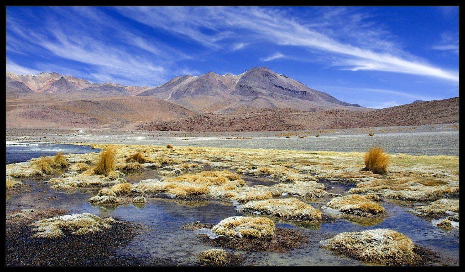 боливия, альтиплано, лагуна, Виктория Роготнева