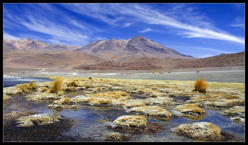 боливия, альтиплано, лагуна Альтиплано Анд... фото превью