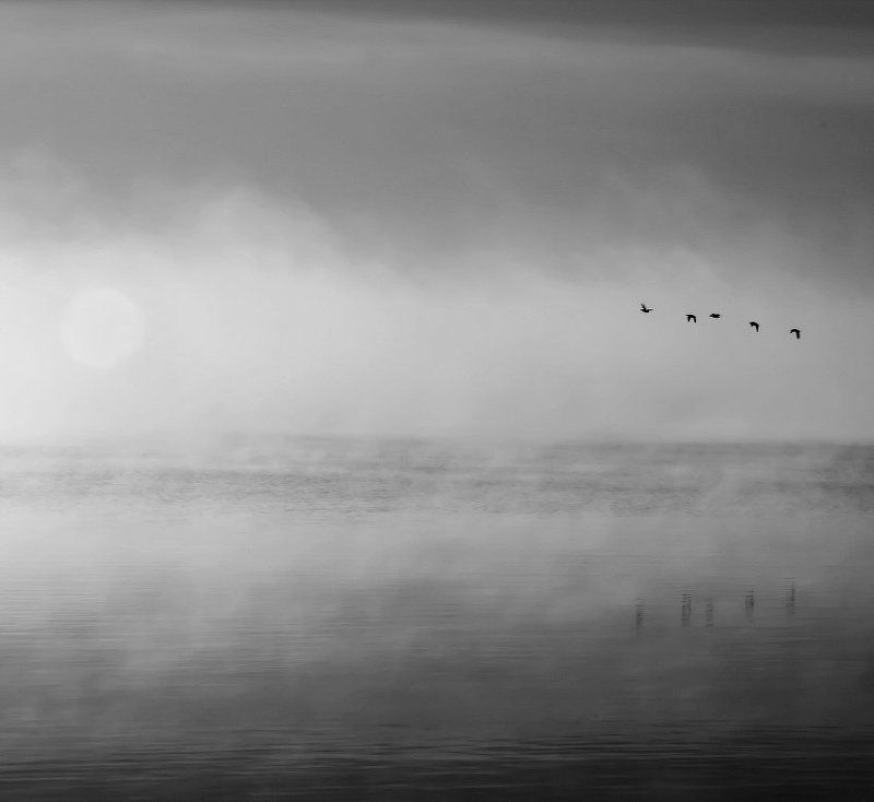 туман, утки, озеро, солнце на югphoto preview