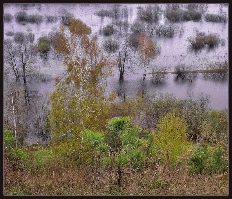 осень Осенние видыphoto preview