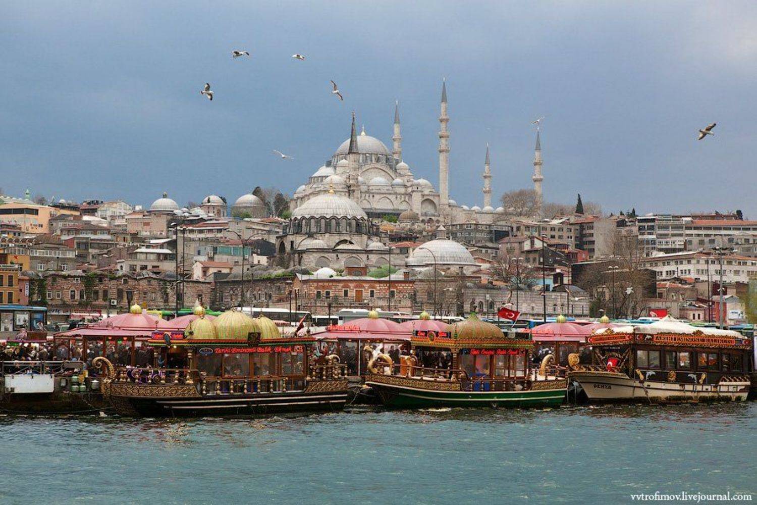 В Стамбуле чайки дрессированные. Автор: Vladimir Trofimov стамбул, istanbul, турция, Vladimir Trofimov