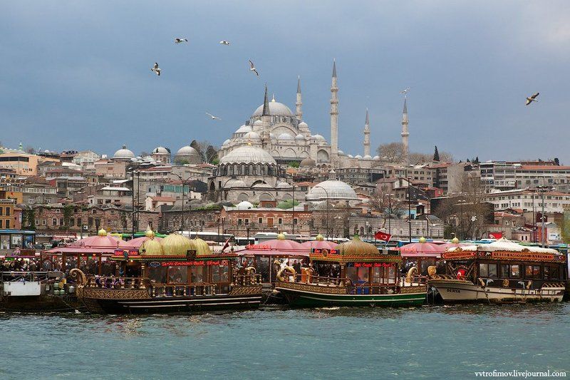 стамбул, istanbul, турция В Стамбуле чайки дрессированныеphoto preview