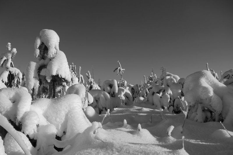 снег Одеялоphoto preview