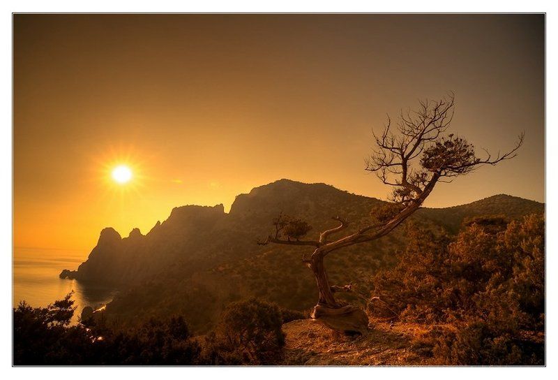 крым, новый свет ***photo preview