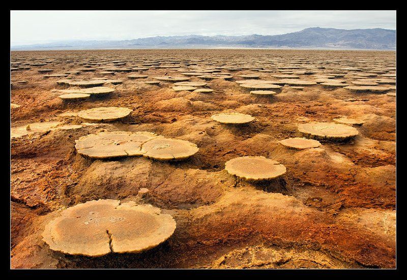 эфиопия, вулкан, далол, соль, афар, регион, данакиль, низменность Соленые Грибы Далола...photo preview