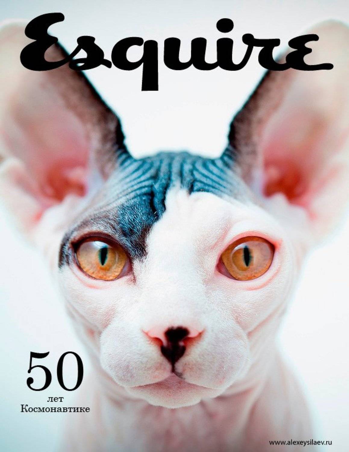 цифра, silaev, силаев, Алексей Силаев