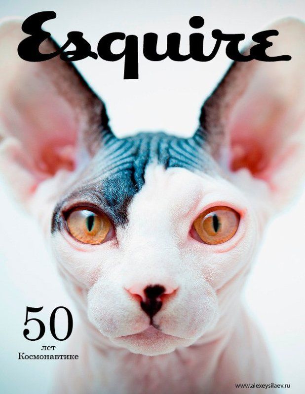 цифра, silaev, силаев 12.04.1961photo preview