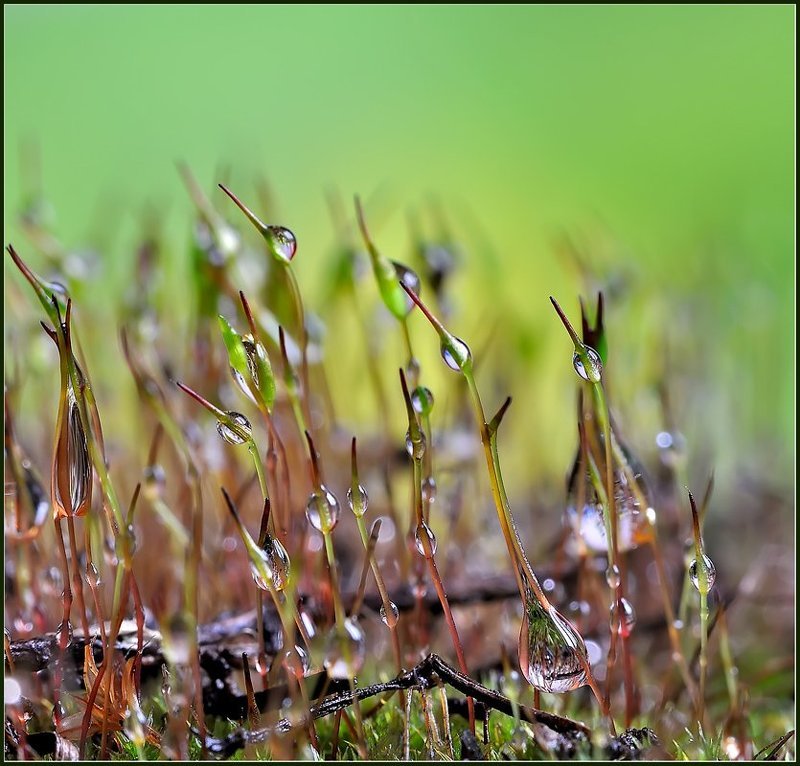 Молодежьphoto preview