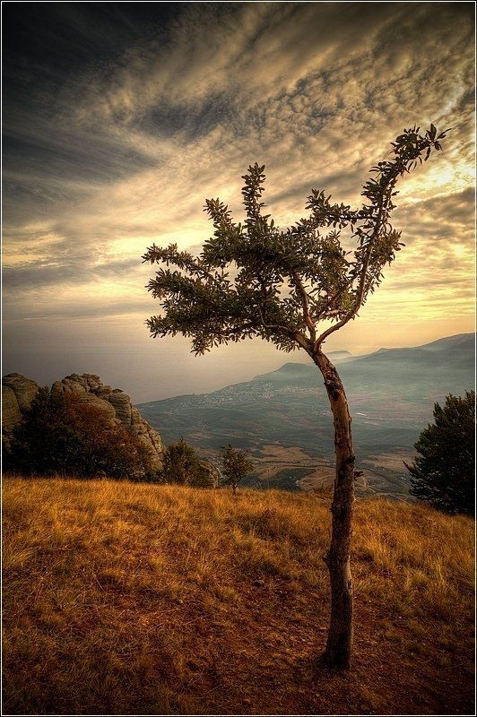 крым, демерджи ***photo preview