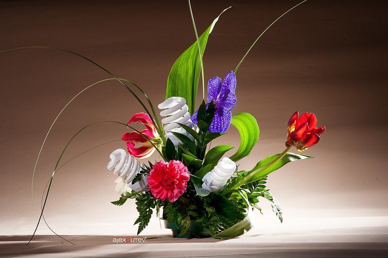 флористика, энергосберегающие лампы Энергосбережениеphoto preview