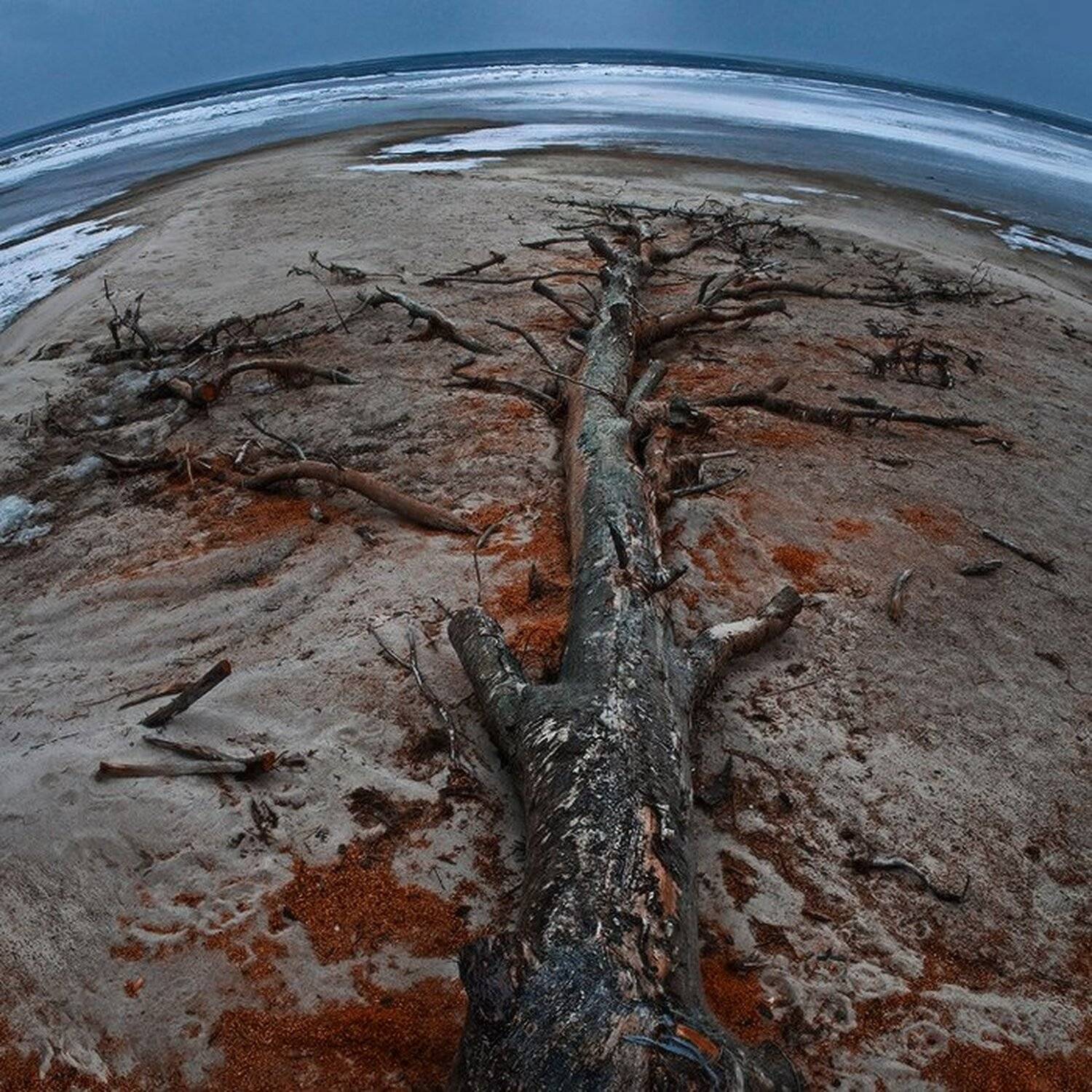 Автор: perhapzz , perhapzz