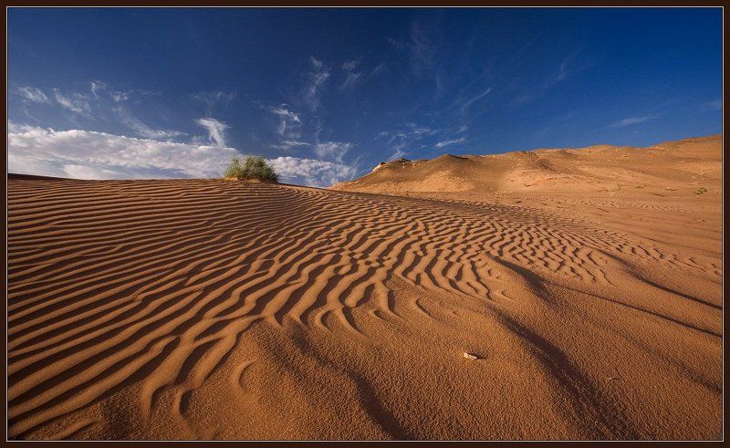 монголия Гоби песчаныйphoto preview