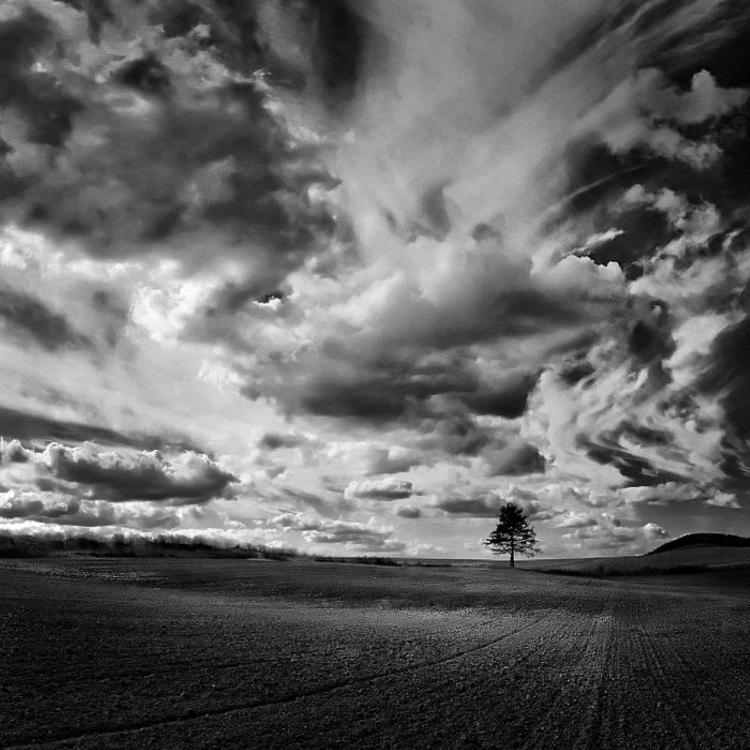 Single. Автор: Тарас , Тарас