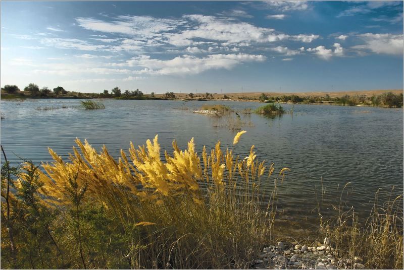 природа ***photo preview