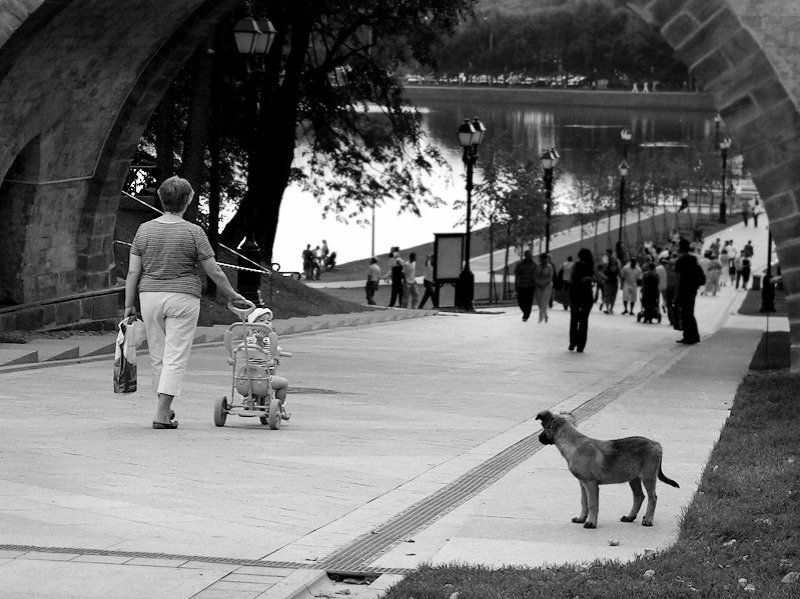 Не грусти я завтра еще приеду) фото превью