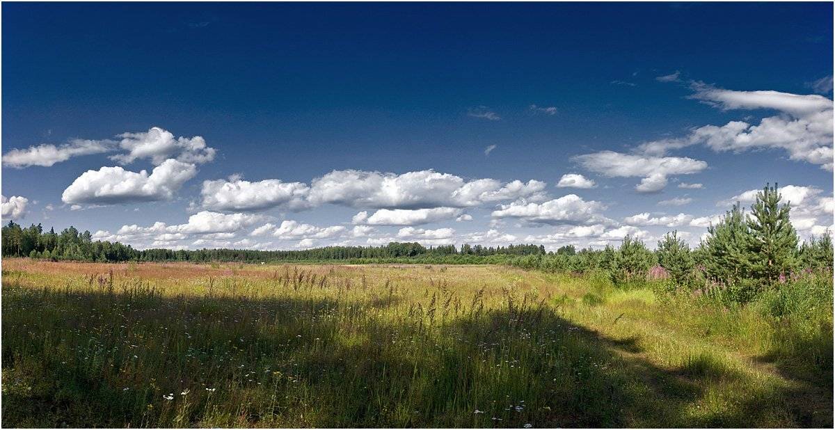 белогривые. Автор: Андрей Куликов , Андрей Куликов