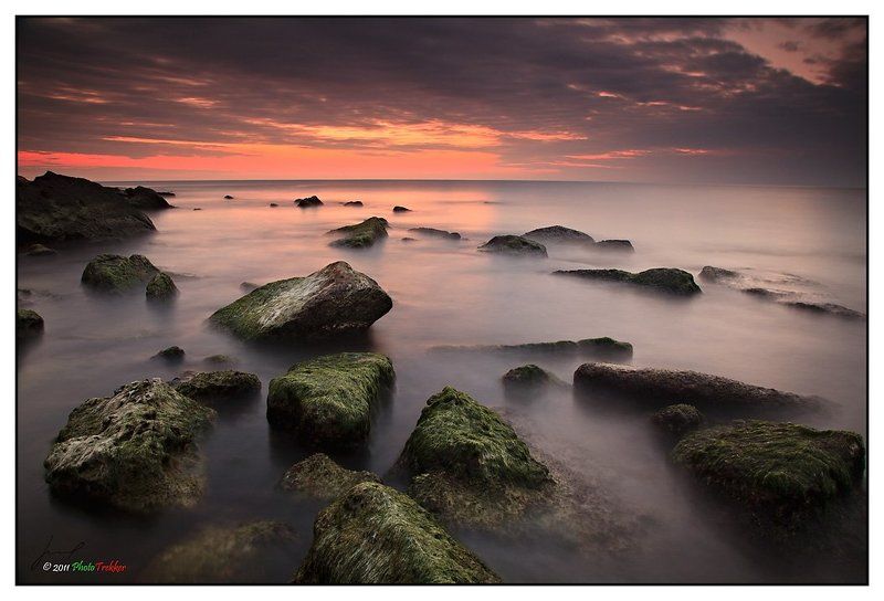 dawn;, sea;, rocks;, sea, weed; Рассветphoto preview