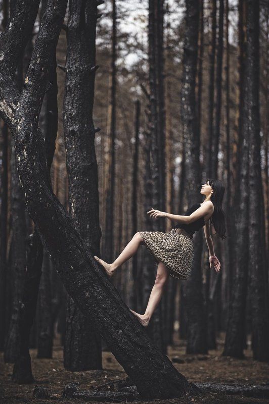 фото превью