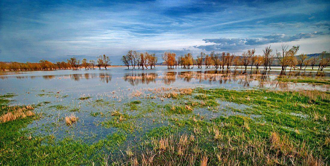 Автор: Boicu Ion , Boicu Ion