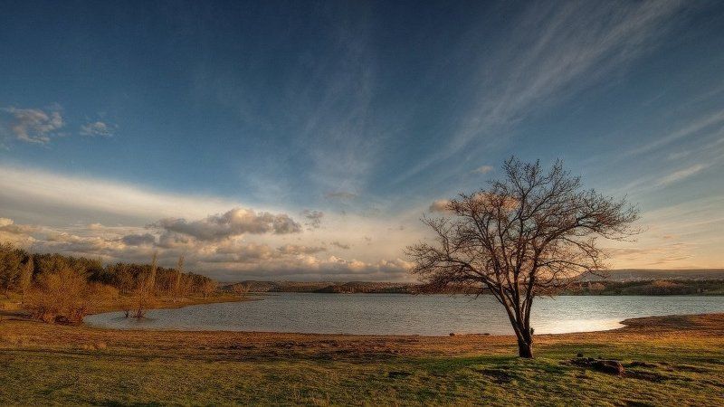 После дождяphoto preview