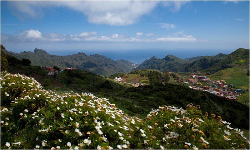 В ромашковых горахphoto preview