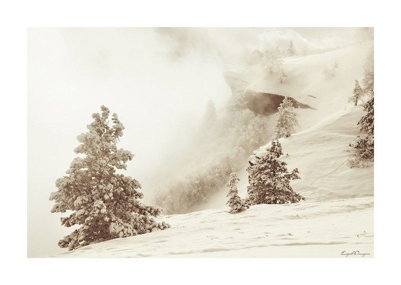 крым, таракташ ***photo preview