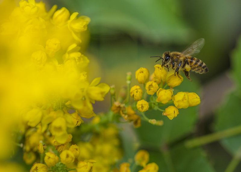 Spring 2photo preview